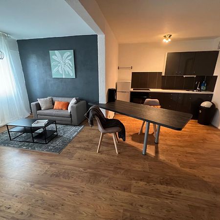 Mon Palmier Grand Appartement Parking Un-Sejour-A-Part Metz Kültér fotó
