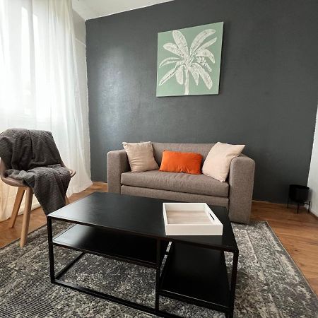 Mon Palmier Grand Appartement Parking Un-Sejour-A-Part Metz Kültér fotó