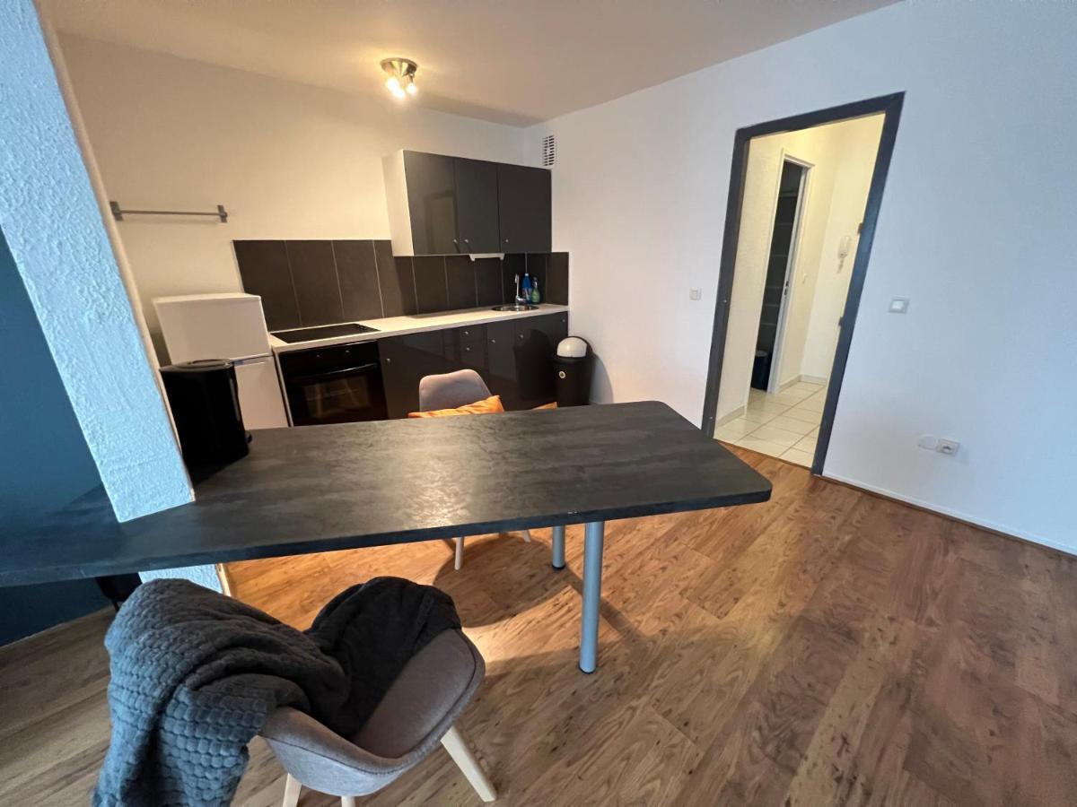 Mon Palmier Grand Appartement Parking Un-Sejour-A-Part Metz Kültér fotó