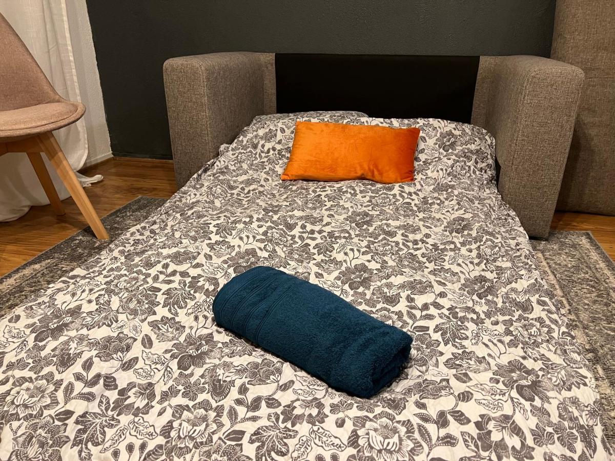 Mon Palmier Grand Appartement Parking Un-Sejour-A-Part Metz Kültér fotó